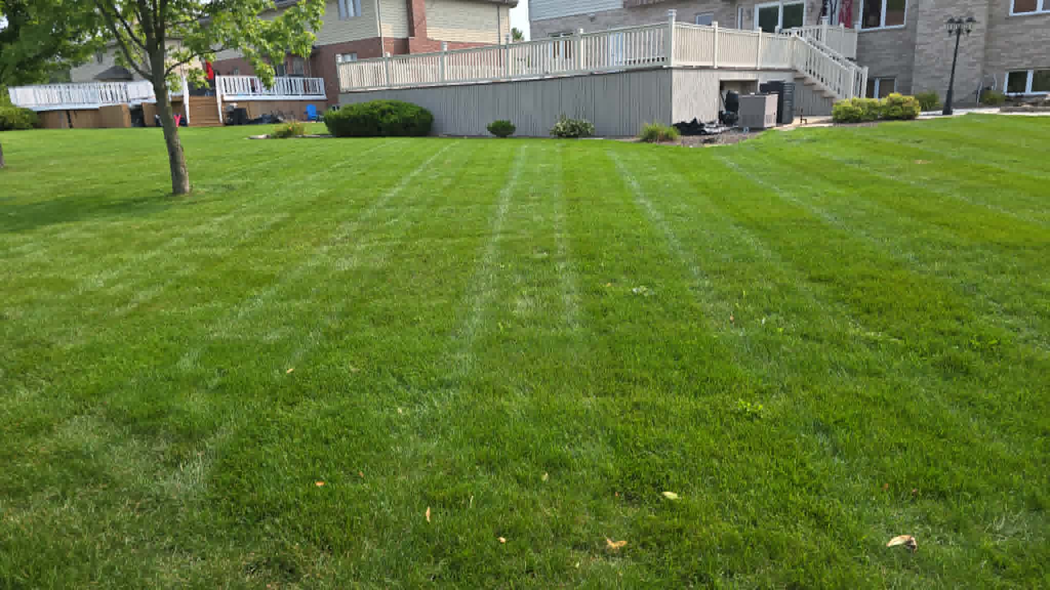 Clean mowed lawn